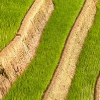 user-image